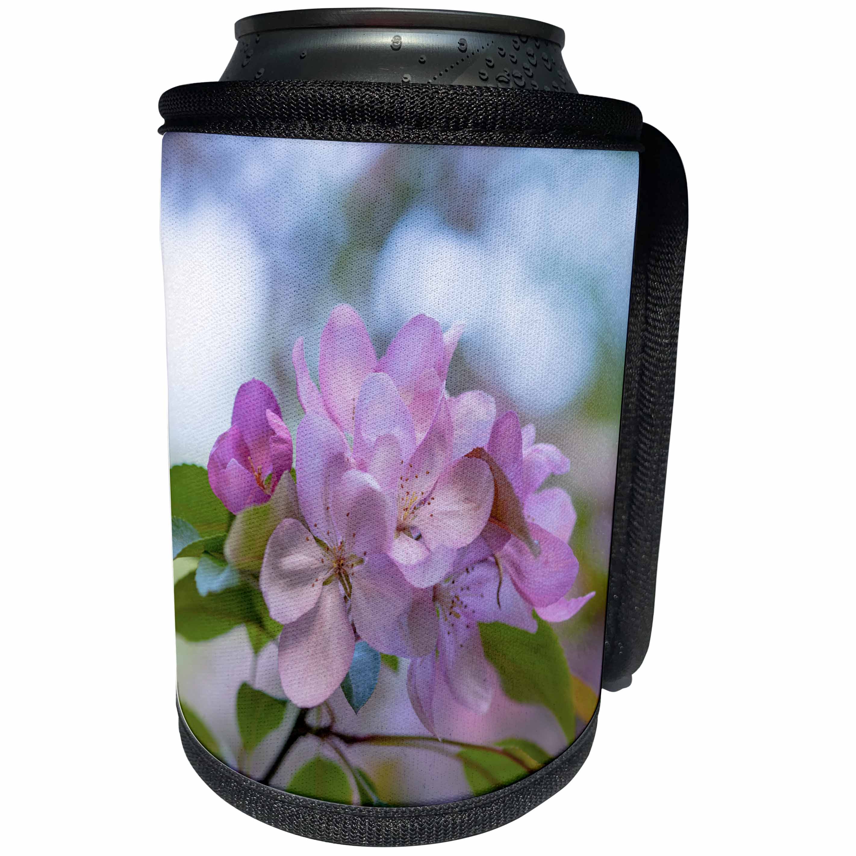 3dRose Alexis Photography - Flowers Apple - Soft pink apple flowers, green leaves, blue and white background - Can Cooler Bottle Wrap (cc_273876)