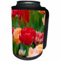 3dRose Alexis Photography - Flowers Tulip - Red parrot tulip, green and colorful background. Joy of spring - Can Cooler Bottle Wrap (cc_273881)