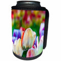 3dRose Alexis Photography - Flowers Tulip - Creme tulip flowers on a multicolor flowerbed. Beauty of spring - Can Cooler Bottle Wrap (cc_273930)