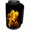 3dRose Alexis Photography - Flowers Tulip - Sunlit yellow tulip flower, dark background, closeup view - Can Cooler Bottle Wrap (cc_273939)