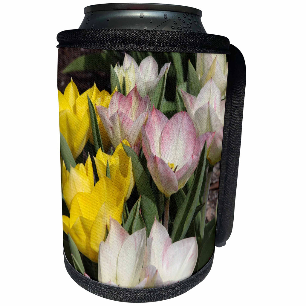 3dRose Patricia Sanders Flowers - Easter Pastel Tulips Floral - Can Cooler Bottle Wrap (cc_27426)