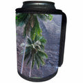 3dRose Patricia Sanders Hawaii - Na Pali Coast Palm Trees of Hawaii - Can Cooler Bottle Wrap (cc_27427)