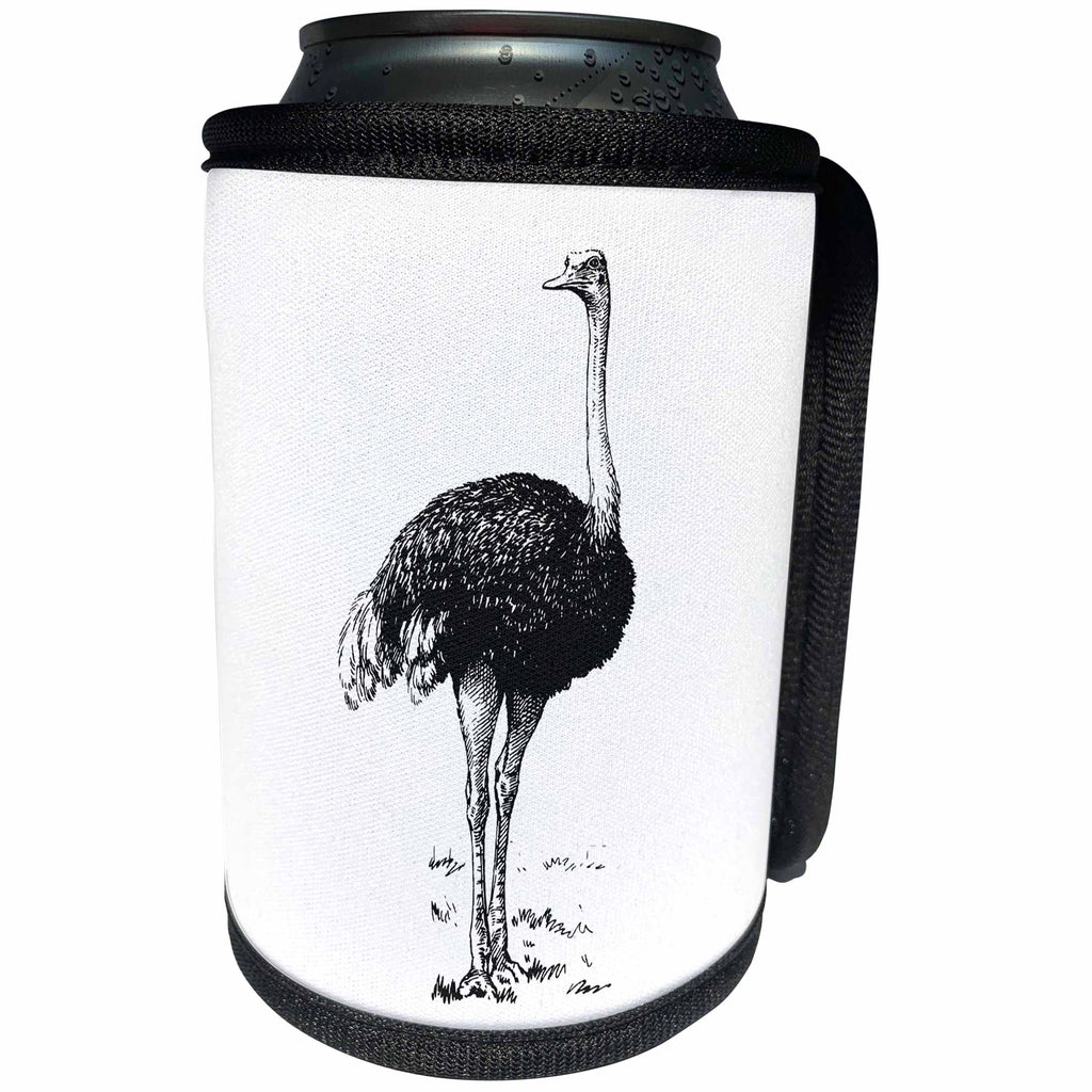 3dRose Andrea Haase Animals Illustration - Ostrich Vintage Black and White Drawing - Can Cooler Bottle Wrap (cc_274697)
