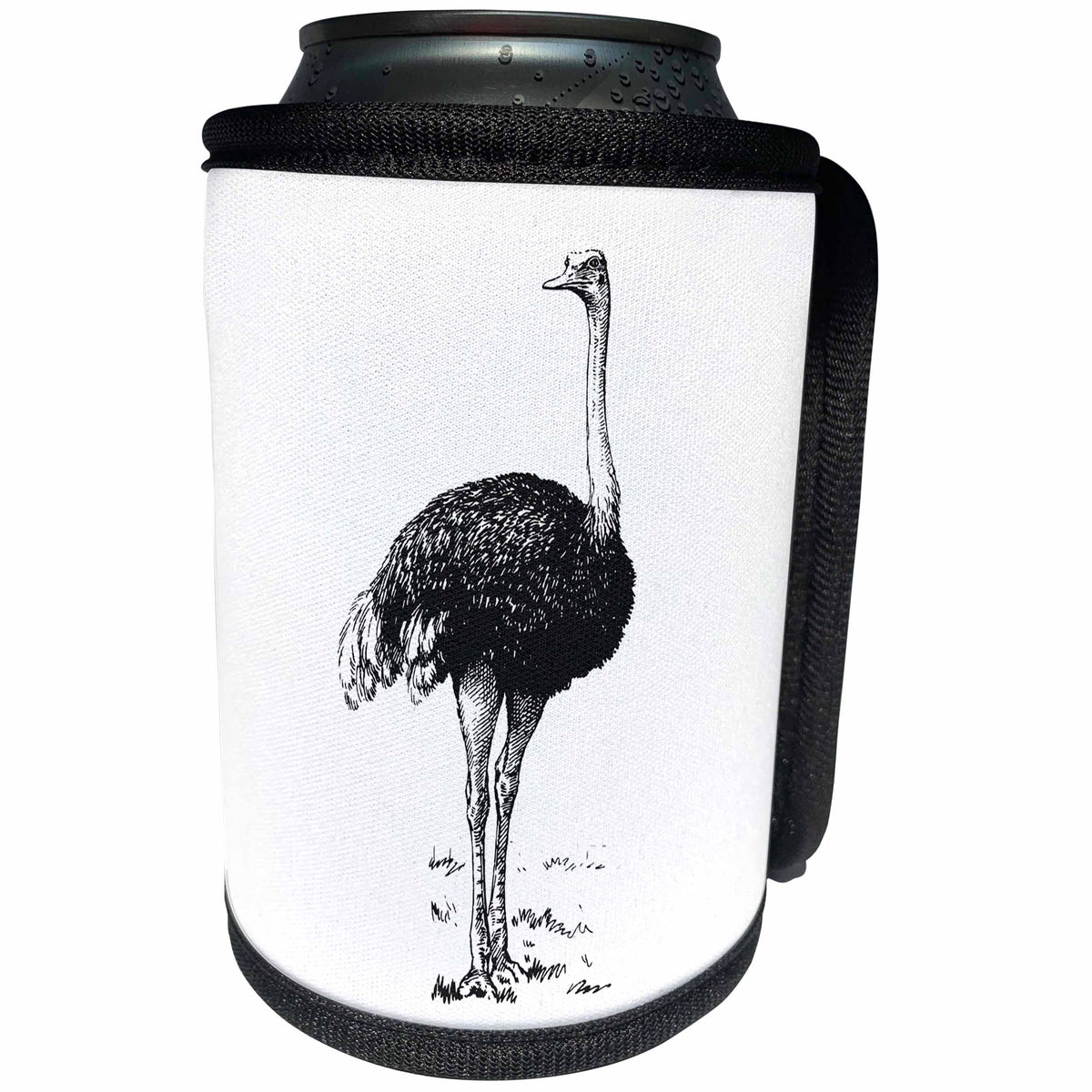 3dRose Andrea Haase Animals Illustration - Ostrich Vintage Black and White Drawing - Can Cooler Bottle Wrap (cc_274697)