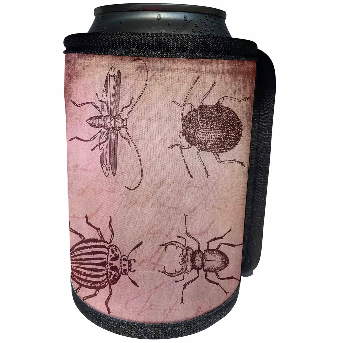 3dRose Andrea Haase Animals Illustration - Vintage Beetle And Bug Illustration - Can Cooler Bottle Wrap (cc_274702)
