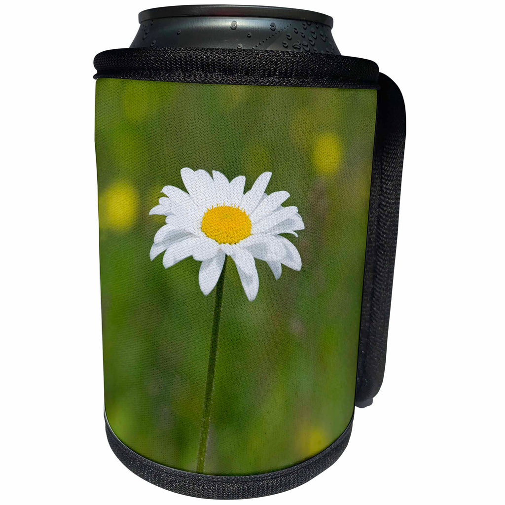 3dRose Andrea Haase Nature Photography - Close Up Photo Of Single Daisy - Can Cooler Bottle Wrap (cc_274713)