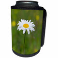 3dRose Andrea Haase Nature Photography - Close Up Photo Of Single Daisy - Can Cooler Bottle Wrap (cc_274713)