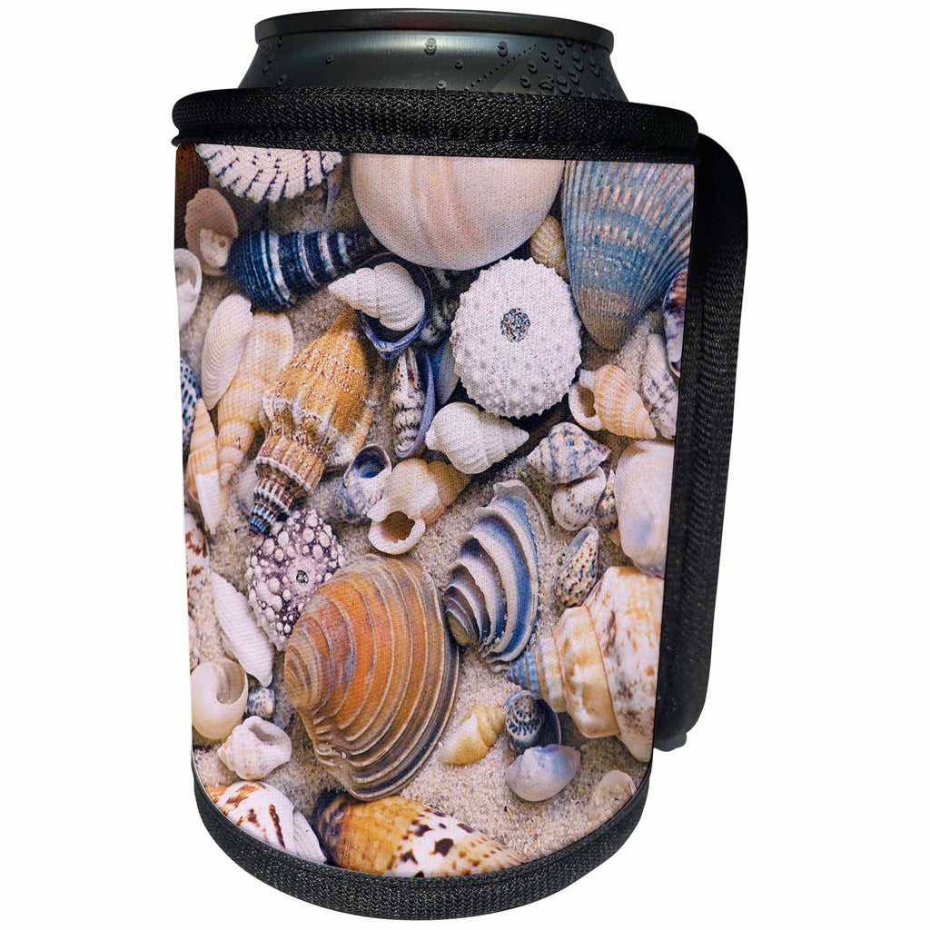 3dRose Andrea Haase Nature Photography - Beautiful Sea Shell Collection - Can Cooler Bottle Wrap (cc_274823)