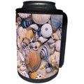 3dRose Andrea Haase Nature Photography - Beautiful Sea Shell Collection - Can Cooler Bottle Wrap (cc_274823)