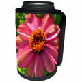 3dRose Patricia Sanders Flowers - Watercolor Pink Floral II - Can Cooler Bottle Wrap (cc_27485)