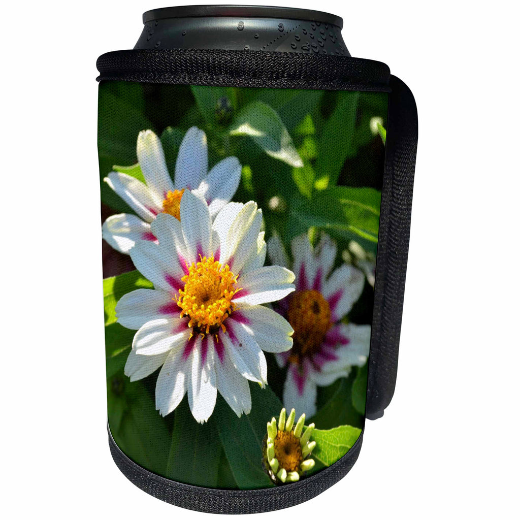 3dRose Patricia Sanders Flowers - Watercolor White Floral - Can Cooler Bottle Wrap (cc_27489)