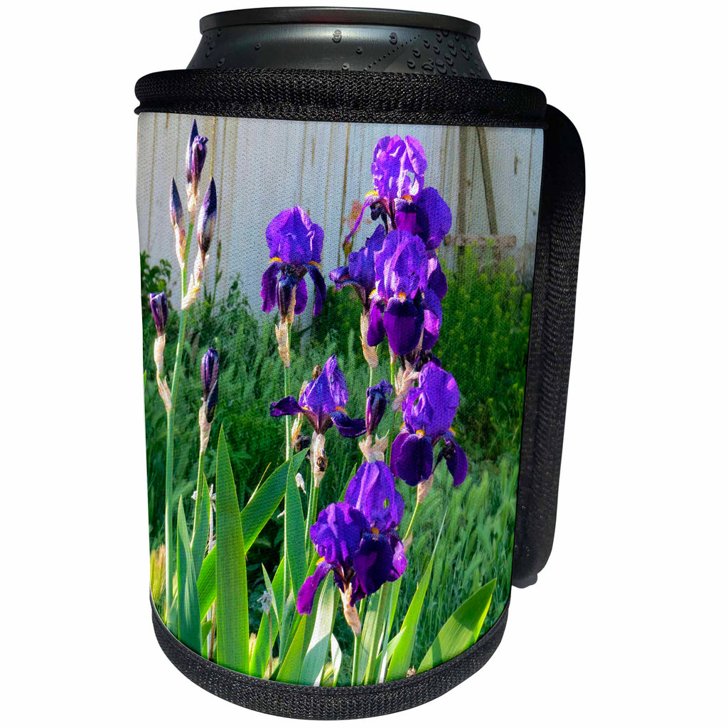 3dRose Jos Fauxtographee- Purple Iris - Purple Iris sitting on a green flower garden - Can Cooler Bottle Wrap (cc_274910)