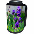 3dRose Jos Fauxtographee- Purple Iris - Purple Iris sitting on a green flower garden - Can Cooler Bottle Wrap (cc_274910)