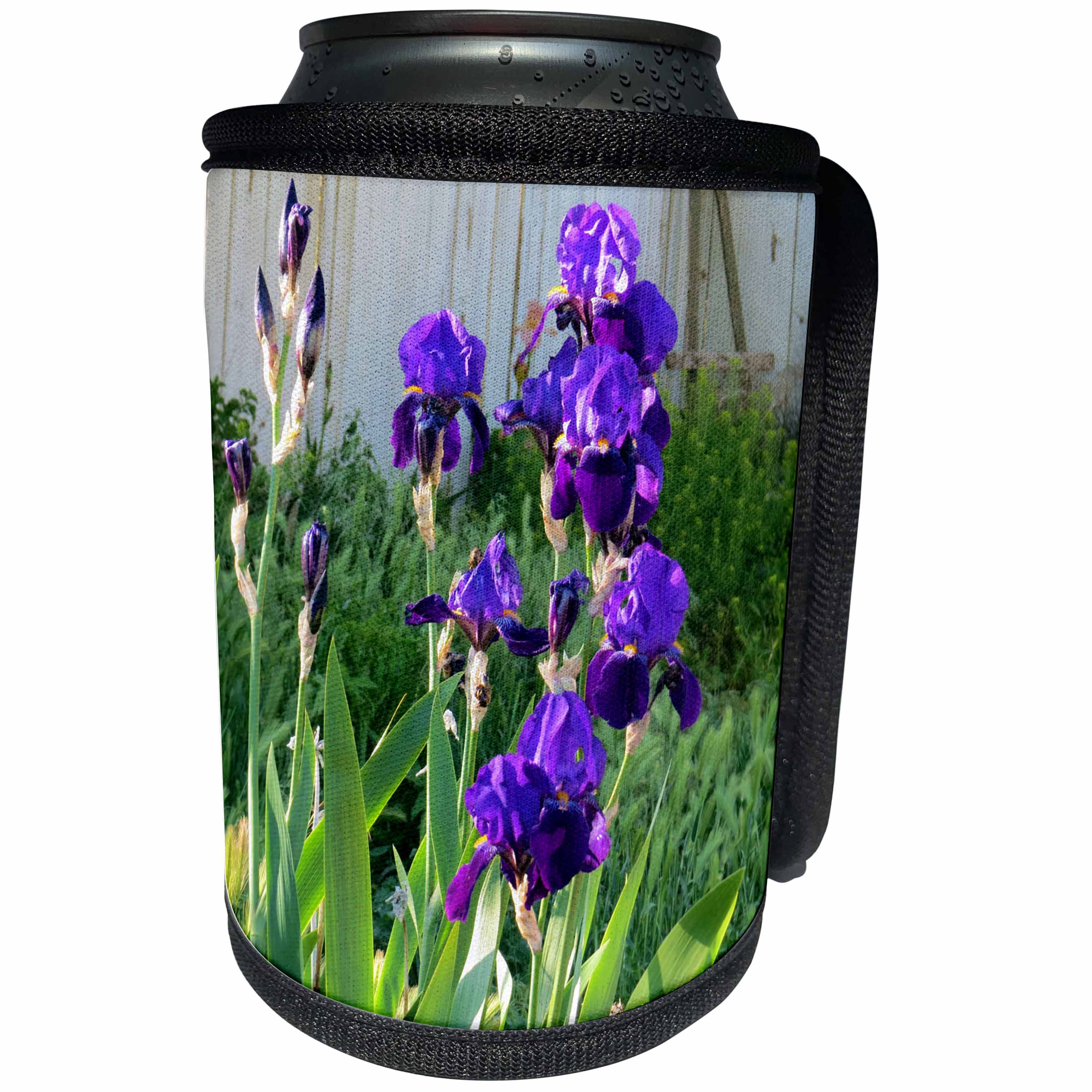3dRose Jos Fauxtographee- Purple Iris - Purple Iris sitting on a green flower garden - Can Cooler Bottle Wrap (cc_274910)