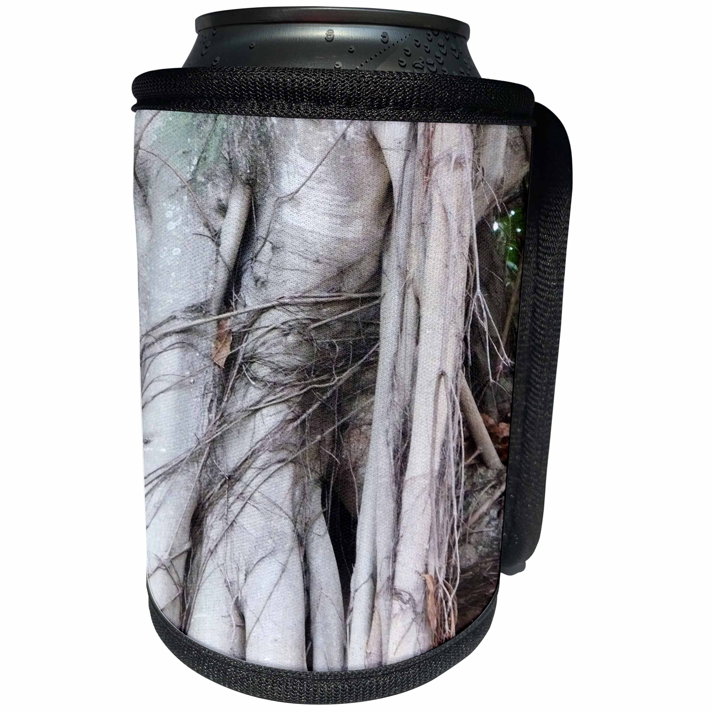 3dRose Florida - Image of Several Twisted Limbs Form Abstract - Can Cooler Bottle Wrap (cc_274925)