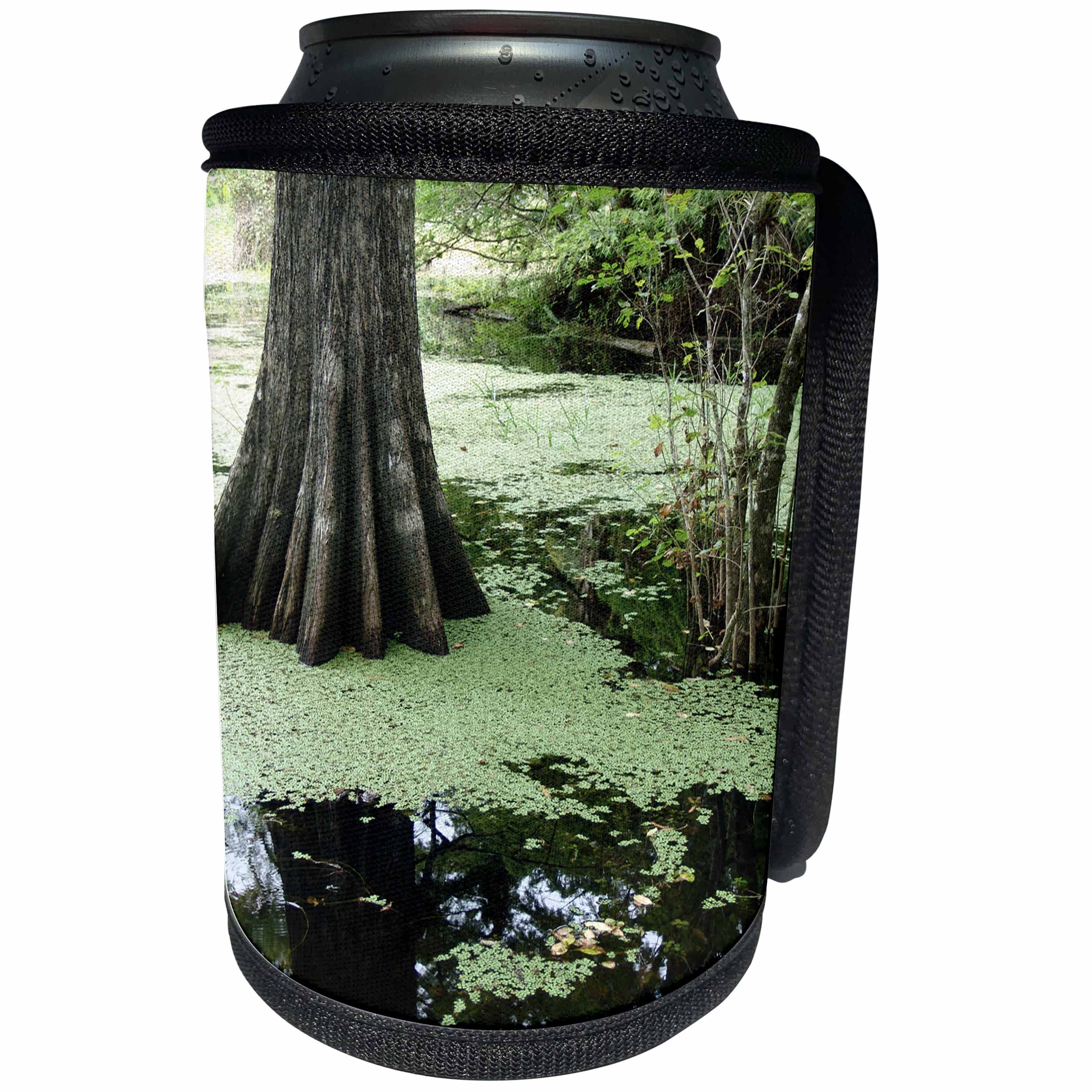 3dRose Florida - Image of Tree Trunk In Green Swamp At Ft Myers - Can Cooler Bottle Wrap (cc_274926)