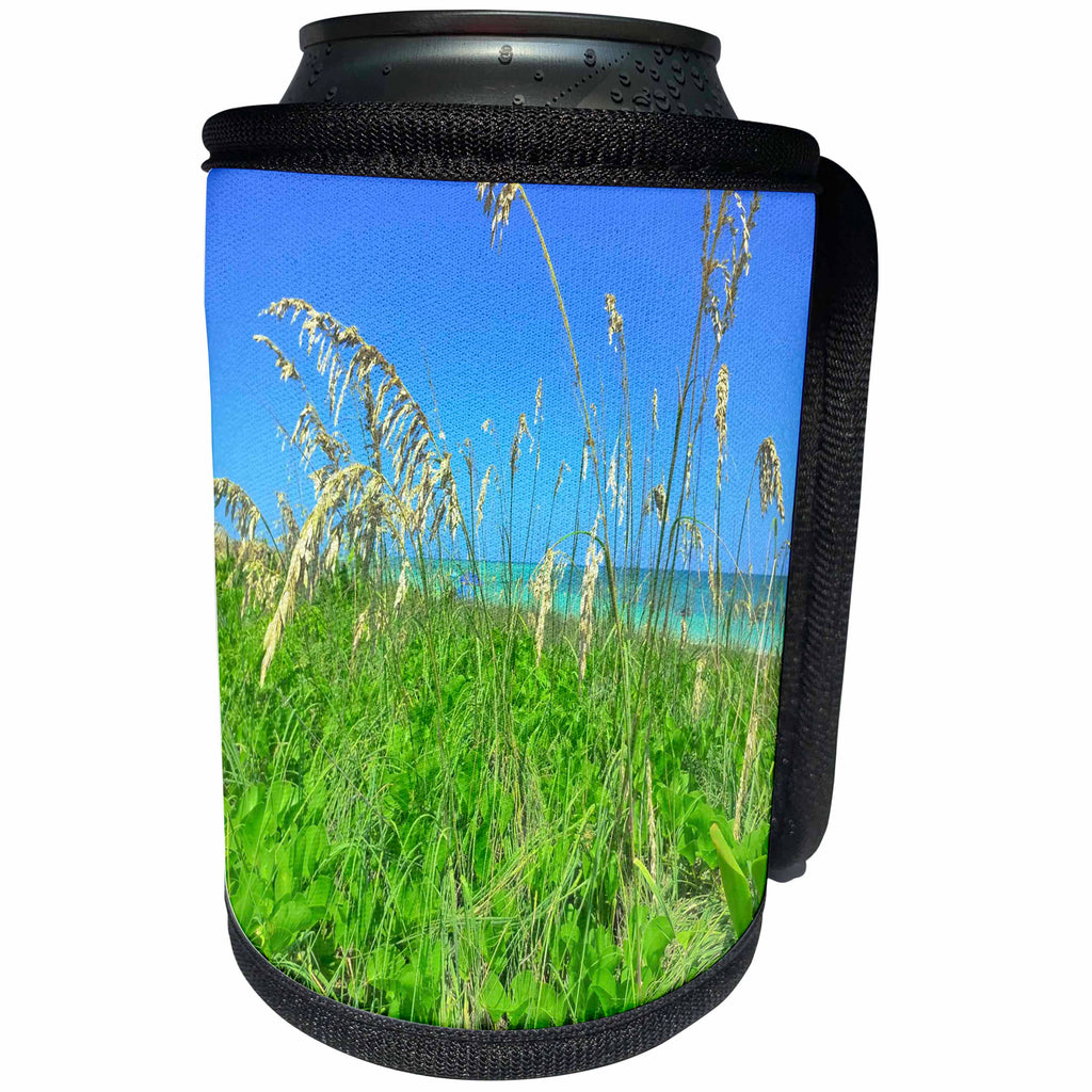 3dRose Florida - Image of Florida Sea Oats On Naples Beach - Can Cooler Bottle Wrap (cc_274932)