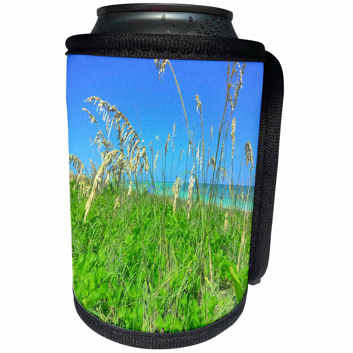 3dRose Florida - Image of Florida Sea Oats On Naples Beach - Can Cooler Bottle Wrap (cc_274932)
