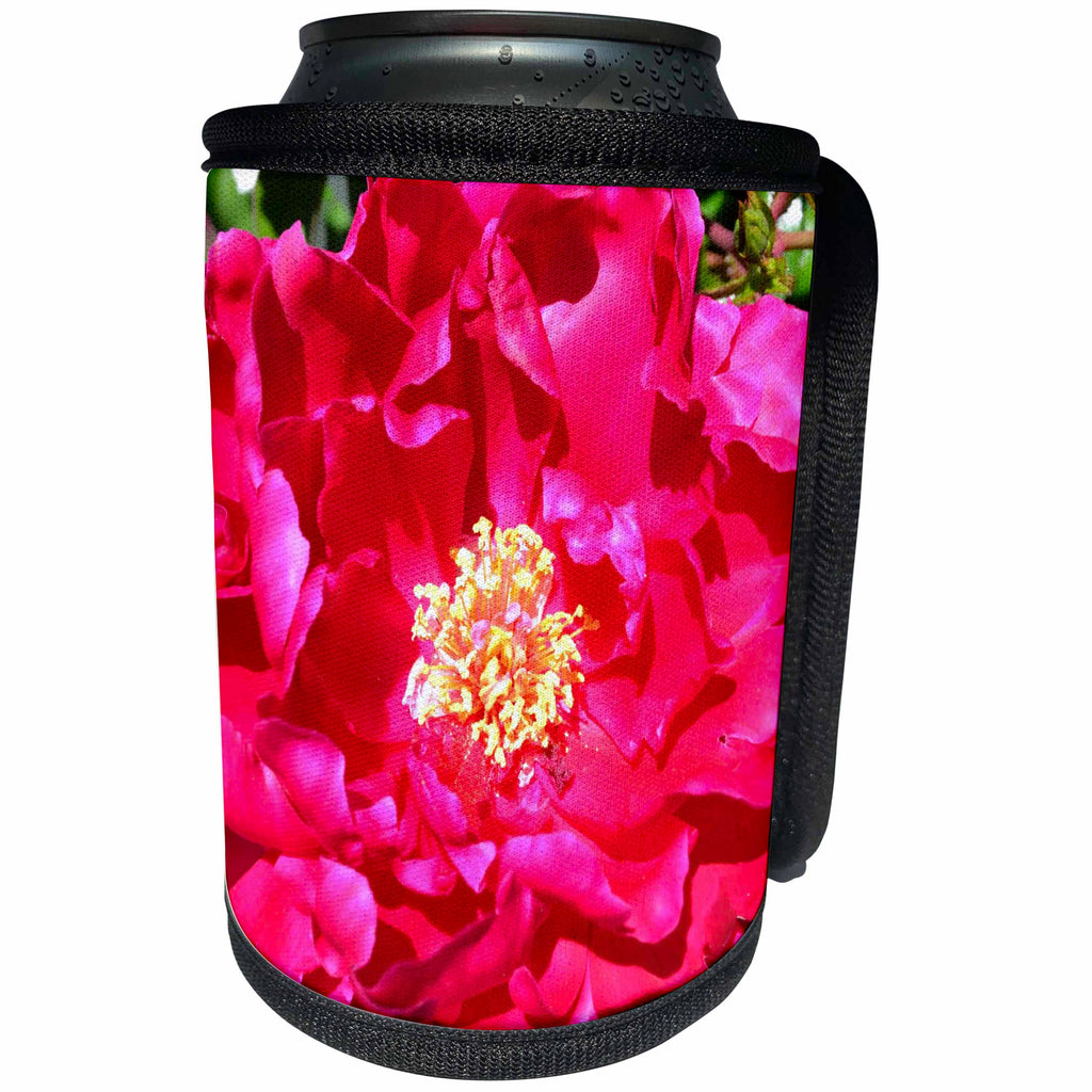 3dRose Patricia Sanders Flowers - Red Wild Rose Floral - Can Cooler Bottle Wrap (cc_27544)