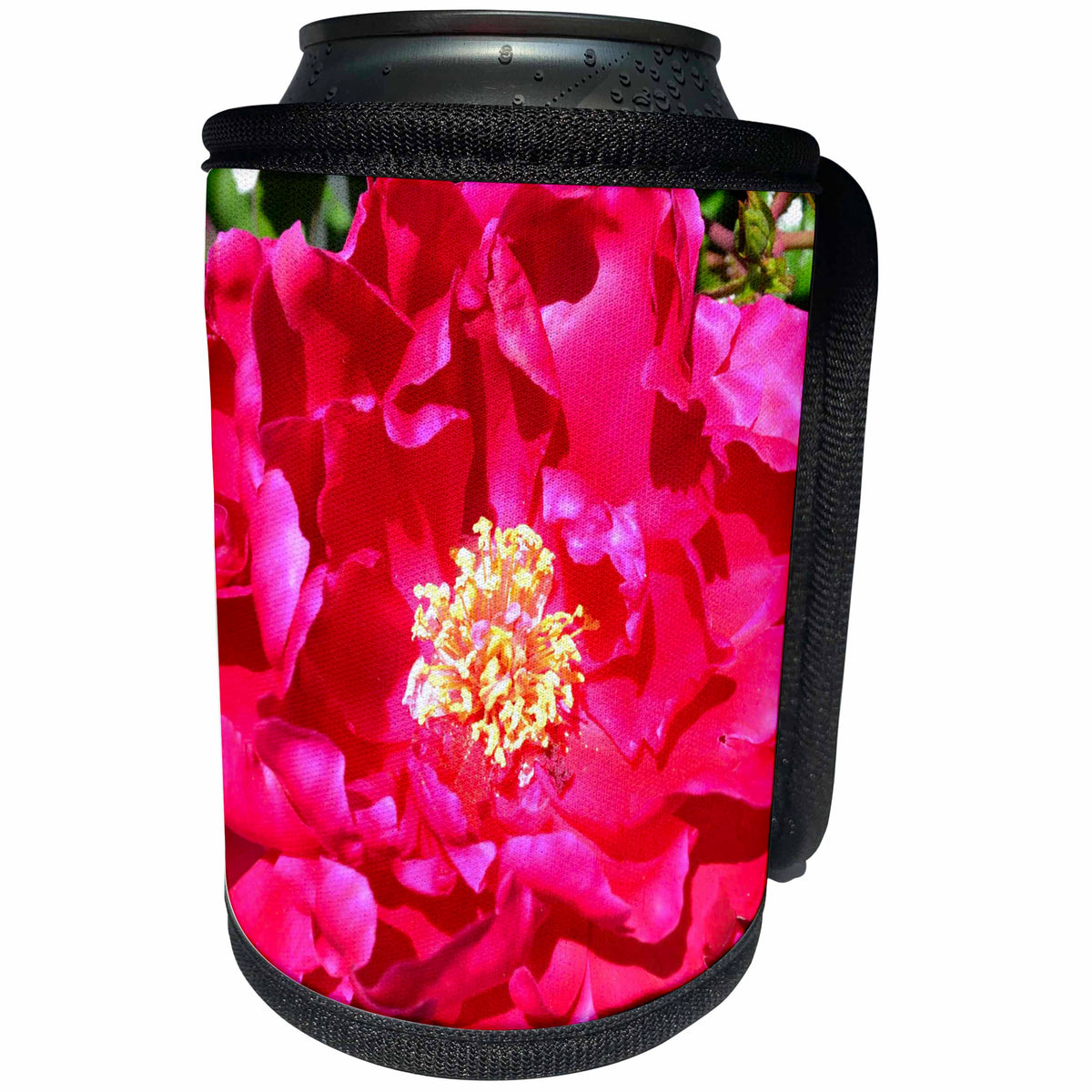3dRose Patricia Sanders Flowers - Red Wild Rose Floral - Can Cooler Bottle Wrap (cc_27544)