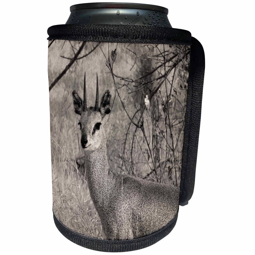 3dRose Sven Herkenrath Animal - A Sepia Photograph of a Duiker Wildlife - Can Cooler Bottle Wrap (cc_275815)