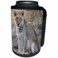 3dRose Sven Herkenrath Animal - Beautiful Young Lion With Mesmerizing Eyes Wildlife Photography - Can Cooler Bottle Wrap (cc_275820)