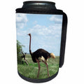 3dRose Sven Herkenrath Animal - An Impressive Ostrich Walking through the Landscape - Can Cooler Bottle Wrap (cc_275830)