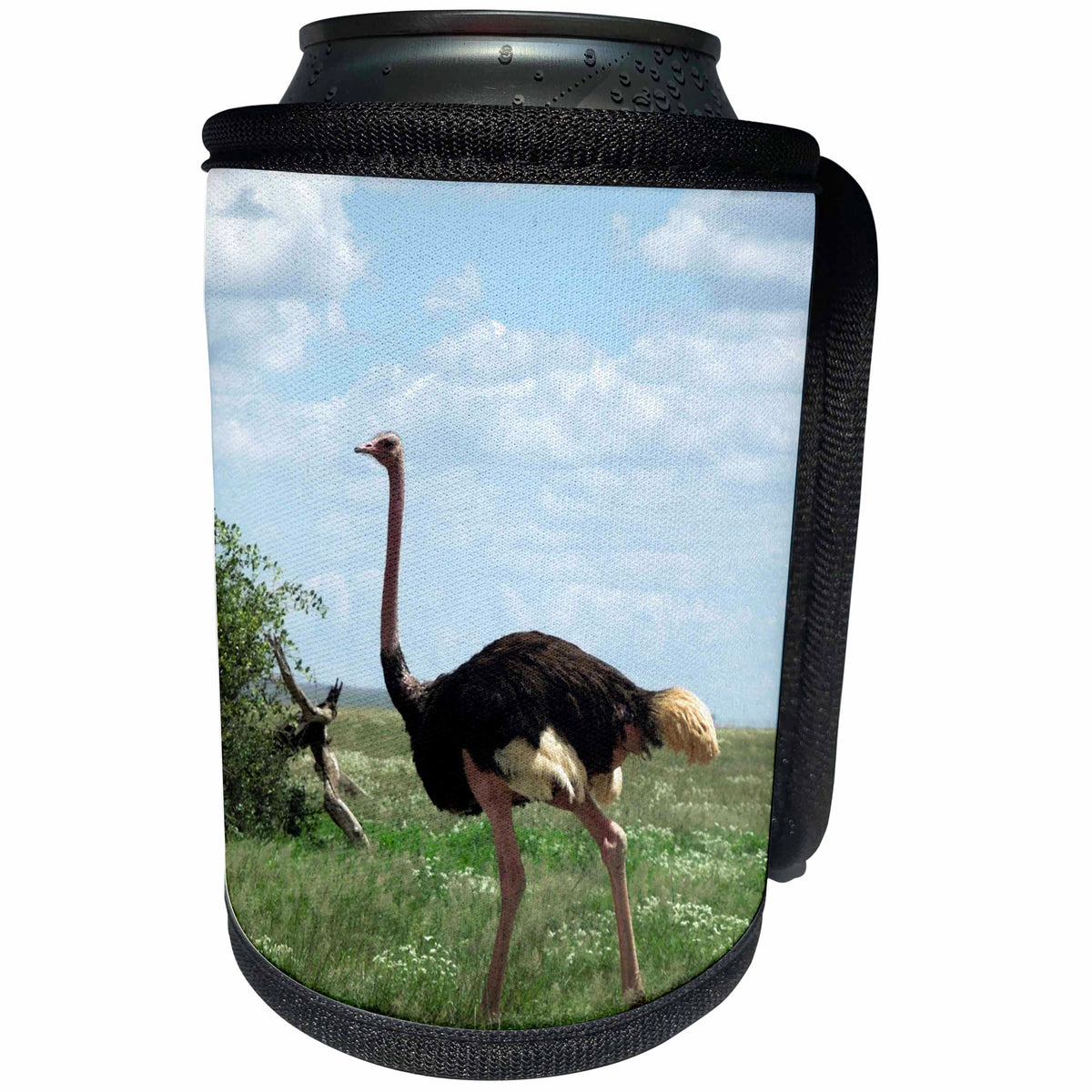3dRose Sven Herkenrath Animal - An Impressive Ostrich Walking through the Landscape - Can Cooler Bottle Wrap (cc_275830)