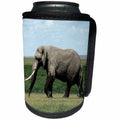 3dRose Sven Herkenrath Animal - A Large Elephant Walking Through the Wilderness - Can Cooler Bottle Wrap (cc_275831)