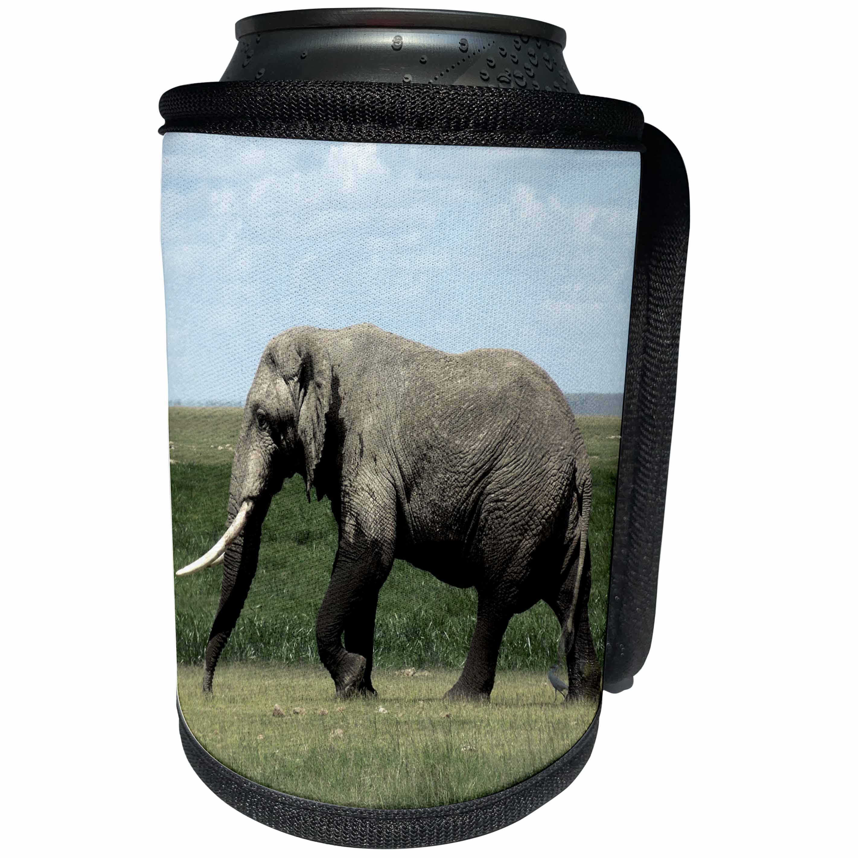 3dRose Sven Herkenrath Animal - A Large Elephant Walking Through the Wilderness - Can Cooler Bottle Wrap (cc_275831)