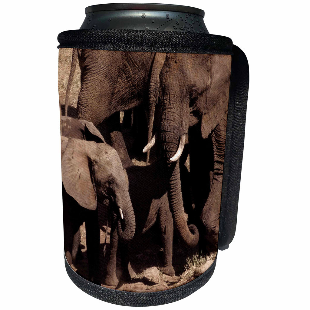 3dRose Sven Herkenrath Animal - A Gorgeous Elephant Family with Two Little Elephants - Can Cooler Bottle Wrap (cc_275833)