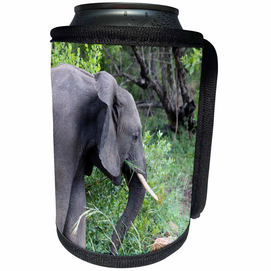 3dRose Sven Herkenrath Animal - Side View of a Gorgeous Elephant in the Forest Wildlife Photography - Can Cooler Bottle Wrap (cc_275850)