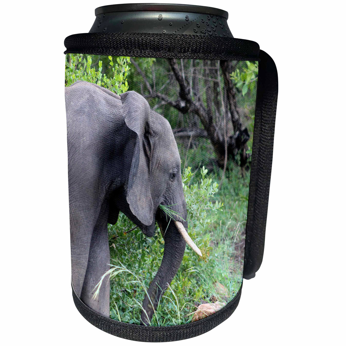 3dRose Sven Herkenrath Animal - Side View of a Gorgeous Elephant in the Forest Wildlife Photography - Can Cooler Bottle Wrap (cc_275850)