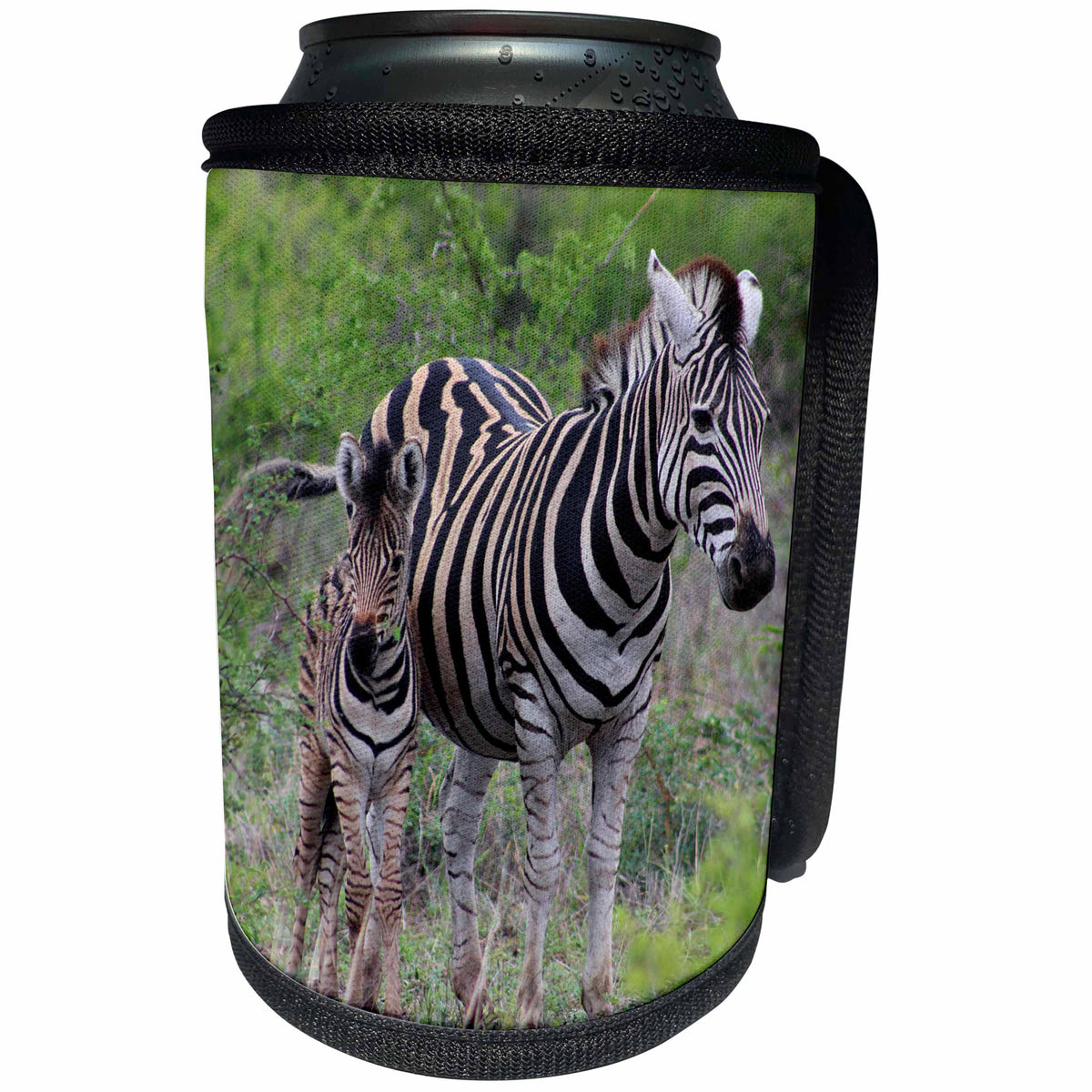 3dRose Sven Herkenrath Animal - A Photo of a Zebra and its Foal Animal Family - Can Cooler Bottle Wrap (cc_275869)