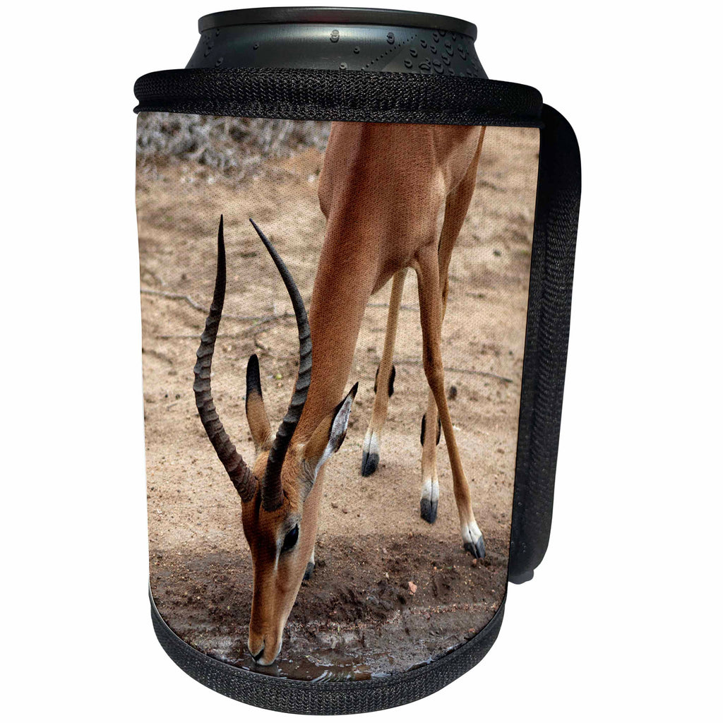 3dRose Sven Herkenrath Animal - Elegant Impala Drinking Water Front View - Can Cooler Bottle Wrap (cc_275871)