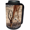 3dRose Sven Herkenrath Animal - Elegant Impala Drinking Water Front View - Can Cooler Bottle Wrap (cc_275871)