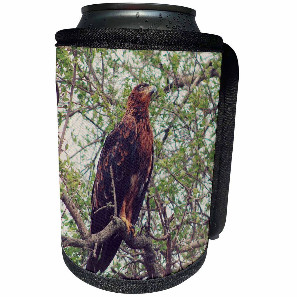 3dRose Sven Herkenrath Animal - A Majestic Brown Eagle Sitting on a Tree Branch Soft Filter - Can Cooler Bottle Wrap (cc_275889)