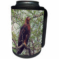 3dRose Sven Herkenrath Animal - A Majestic Brown Eagle Sitting on a Tree Branch Soft Filter - Can Cooler Bottle Wrap (cc_275889)