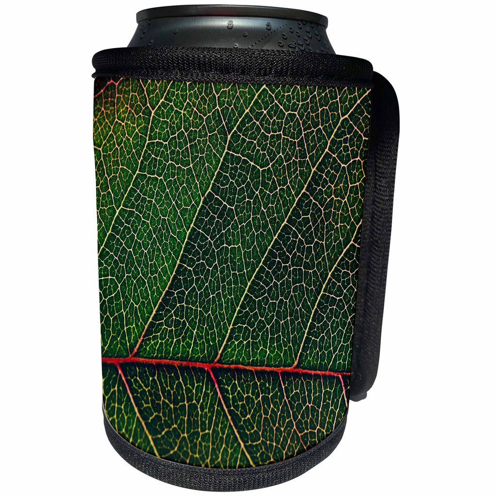3dRose Sven Herkenrath Art - A Close up Photo of a Green Leaf with Intricate Pattern - Can Cooler Bottle Wrap (cc_275932)