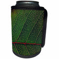 3dRose Sven Herkenrath Art - A Close up Photo of a Green Leaf with Intricate Pattern - Can Cooler Bottle Wrap (cc_275932)