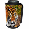 3dRose Sven Herkenrath Animal - Photo of a Grumpy Dangerous Tiger Wildlife Photography - Can Cooler Bottle Wrap (cc_275950)