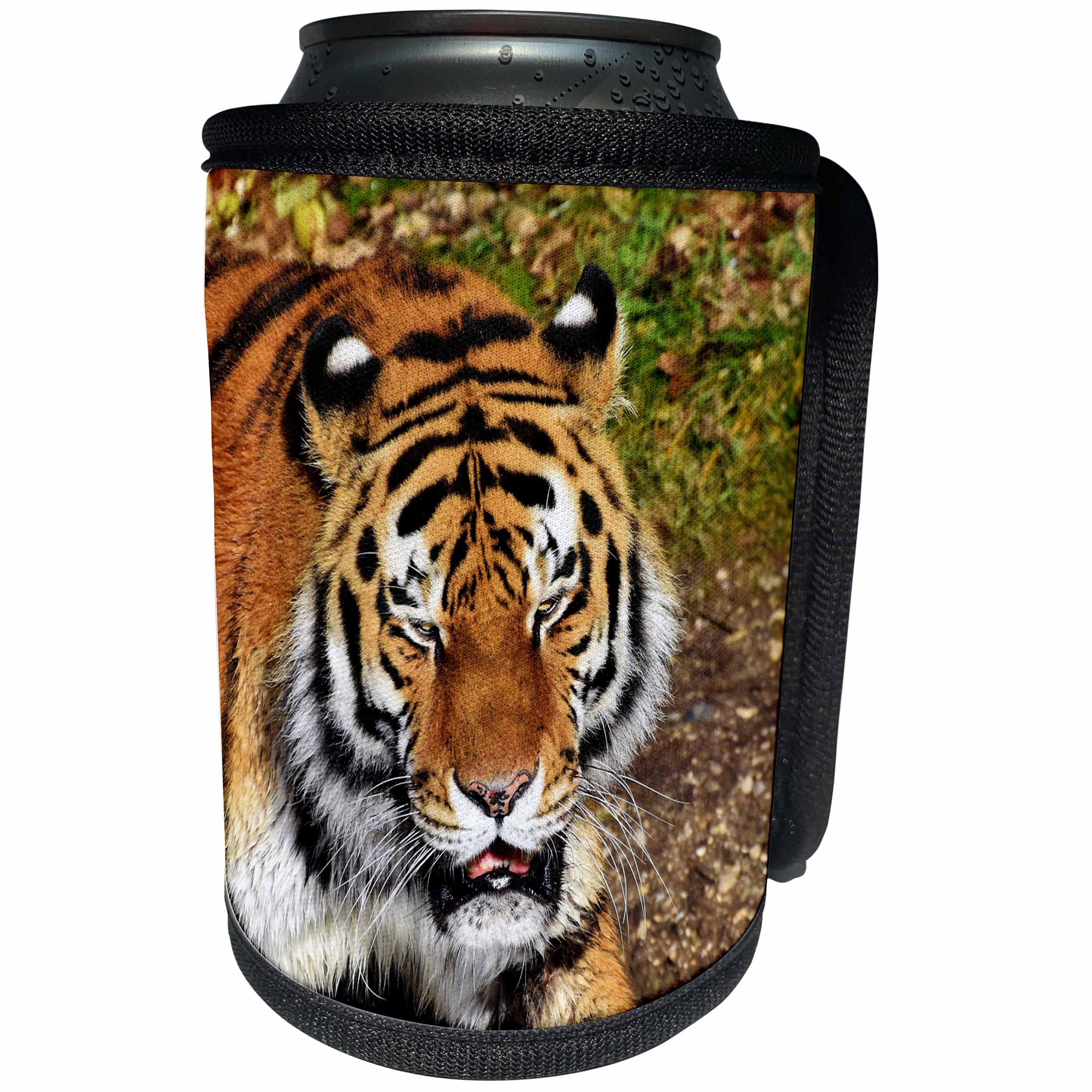 3dRose Sven Herkenrath Animal - Photo of a Grumpy Dangerous Tiger Wildlife Photography - Can Cooler Bottle Wrap (cc_275950)