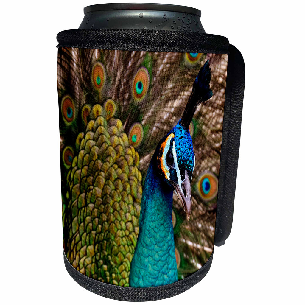 3dRose Sven Herkenrath Animal - A Close up of a Beautiful Colorful Peacock Front View - Can Cooler Bottle Wrap (cc_275953)