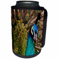 3dRose Sven Herkenrath Animal - A Close up of a Beautiful Colorful Peacock Front View - Can Cooler Bottle Wrap (cc_275953)