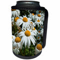 3dRose Alexis Photography - Flowers Daisy - Daisy flowers of white and yellow colors on a flowerbed in summer - Can Cooler Bottle Wrap (cc_276008)