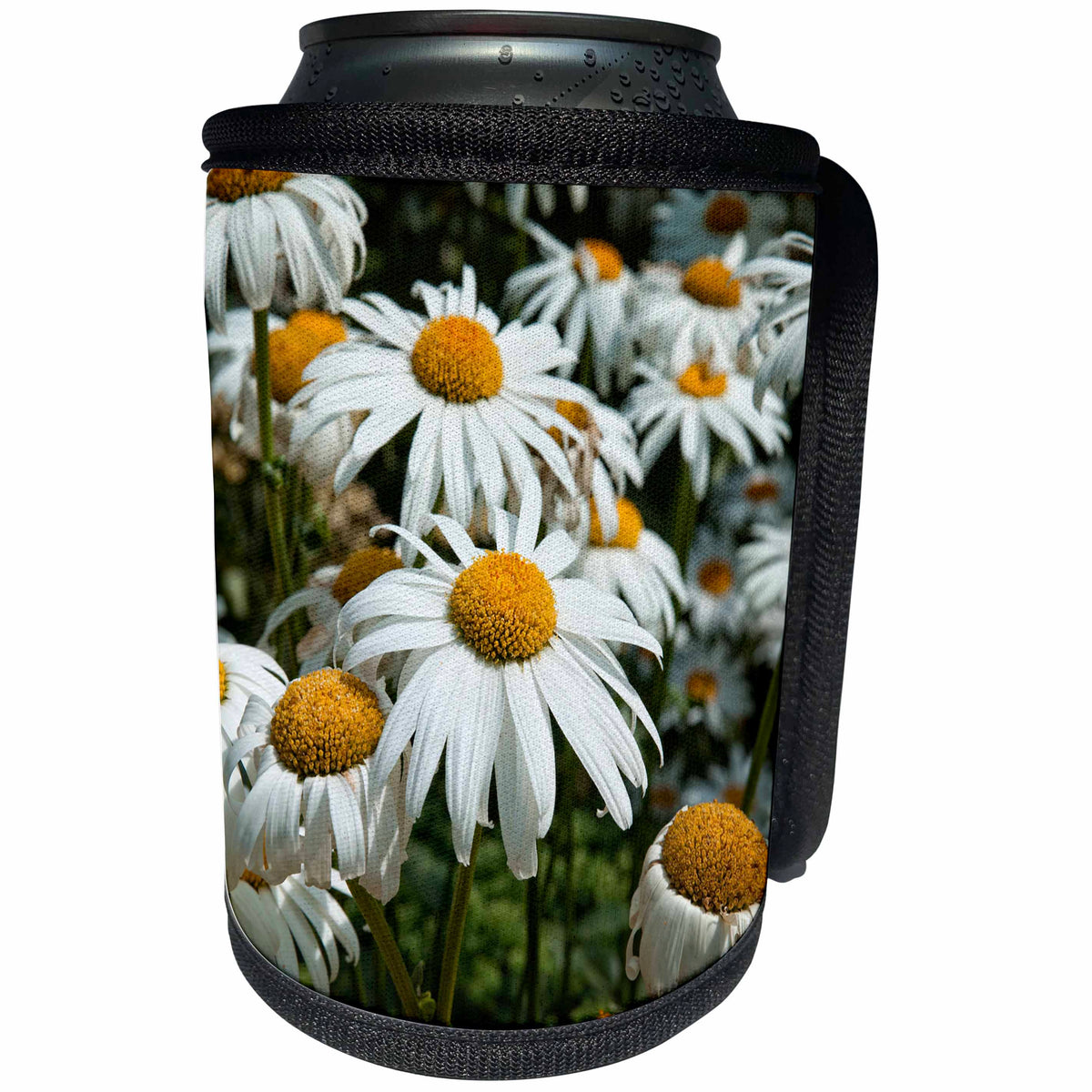 3dRose Alexis Photography - Flowers Daisy - Daisy flowers of white and yellow colors on a flowerbed in summer - Can Cooler Bottle Wrap (cc_276008)