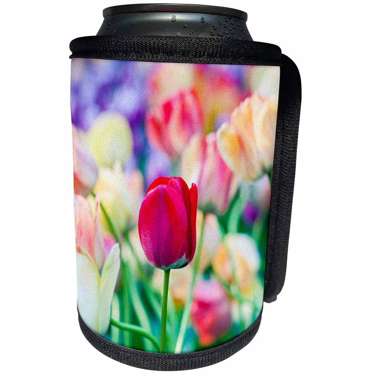 3dRose Alexis Photography - Flowers Tulip 3 - Red tulip flower between colorful tulips on a flowerbed in spring - Can Cooler Bottle Wrap (cc_276010)