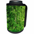 3dRose Alexis Photography - Seasons Summer - Young birch trees covered with fresh green leaves in a summer forest - Can Cooler Bottle Wrap (cc_276018)