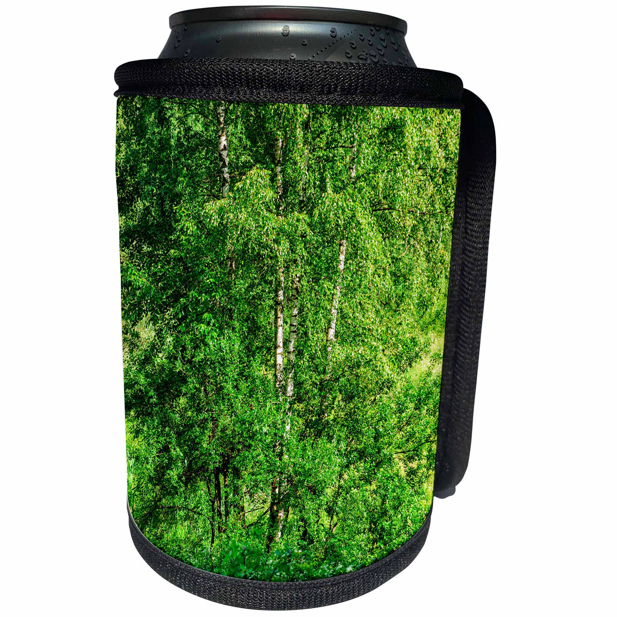 3dRose Alexis Photography - Seasons Summer - Young birch trees covered with fresh green leaves in a summer forest - Can Cooler Bottle Wrap (cc_276018)