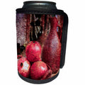 3dRose Alexis Photography - Still-Life - Still-life of an ancient pitcher and tree pomegranates on a plate - Can Cooler Bottle Wrap (cc_276025)